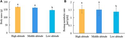 Differential Expression of Metabolism-Related Genes in Plateau Pika (Ochotona curzoniae) at Different Altitudes on the Qinghai–Tibet Plateau